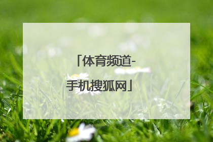 「体育频道-手机搜狐网」手机看广东体育频道