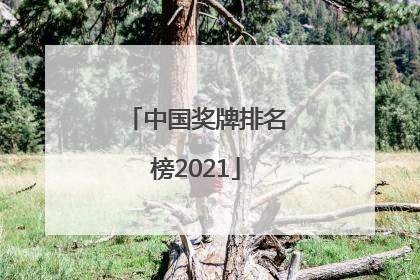 「中国奖牌排名榜2021」中国奖牌排名榜2022