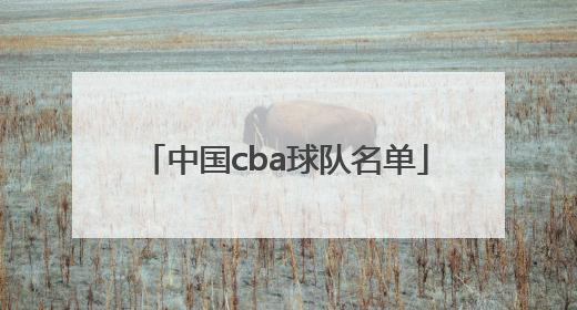 「中国cba球队名单」中国女子冰球队名单