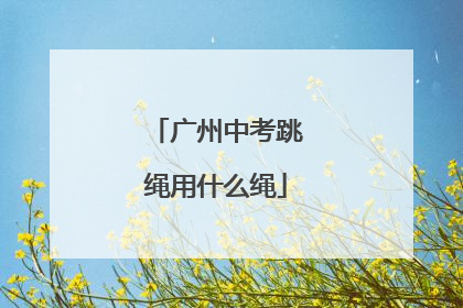 「广州中考跳绳用什么绳」广州中考跳绳评分标准2021