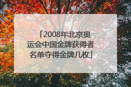 2008年北京奥运会中国金牌获得者名单夺得金牌几枚