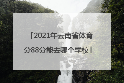 2021年云南省体育分88分能去哪个学校