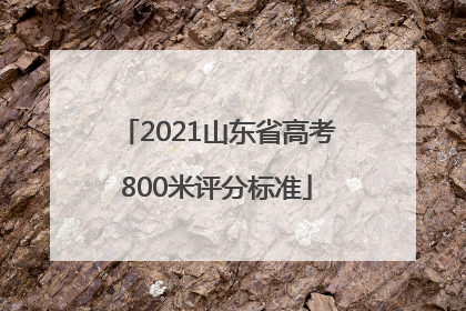 2021山东省高考800米评分标准