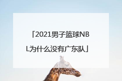 2021男子篮球NBL为什么没有广东队