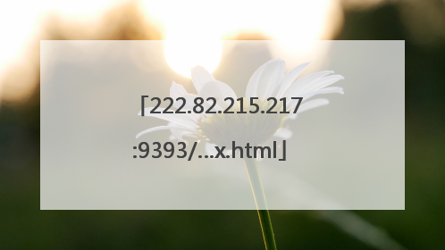 222.82.215.217:9393/…x.html