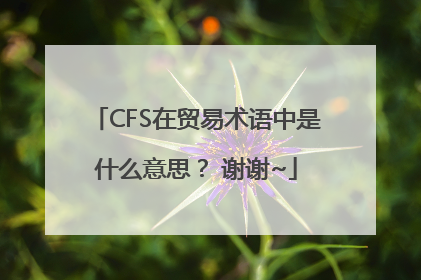 CFS在贸易术语中是什么意思？ 谢谢~