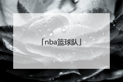 「nba篮球队」nba篮球队名大全及标志