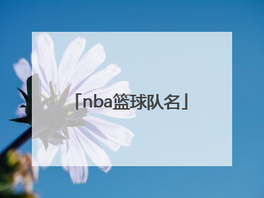 「nba篮球队名」nba篮球队名大全及标志勇士队
