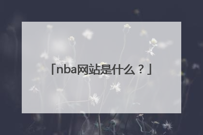 nba网站是什么？