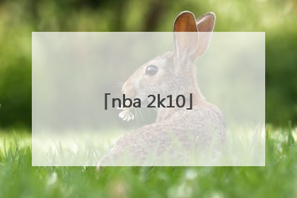 「nba 2k10」nba2k10下载手机版中文版