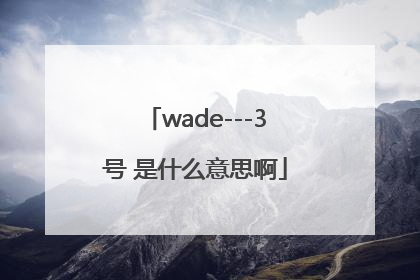 wade---3号 是什么意思啊