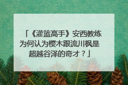 《灌篮高手》安西教练为何认为樱木跟流川枫是超越谷泽的奇才？
