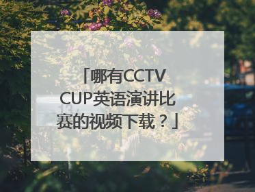 哪有CCTV CUP英语演讲比赛的视频下载？