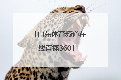 「山东体育频道在线直播360」上海体育频道在线直播