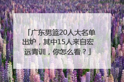 广东男篮20人大名单出炉，其中15人来自宏远青训，你怎么看？