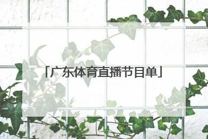 「广东体育直播节目单」中央五台体育直播节目单