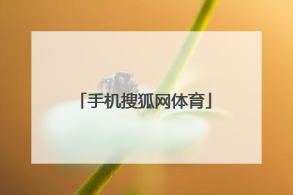 「手机搜狐网体育」最新手机搜狐网体育