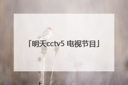 明夭cctv5 电视节目