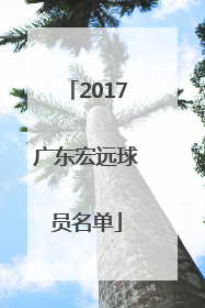 2017广东宏远球员名单