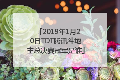 2019年1月20日TDT腾讯斗地主总决赛冠军是谁