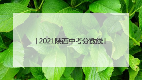 2021陕西中考分数线
