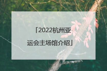 2022杭州亚运会主场馆介绍
