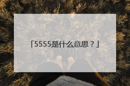 5555是什么意思？