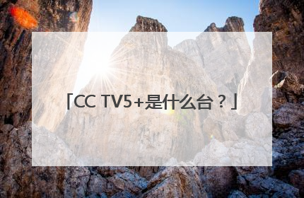 CC TV5+是什么台？