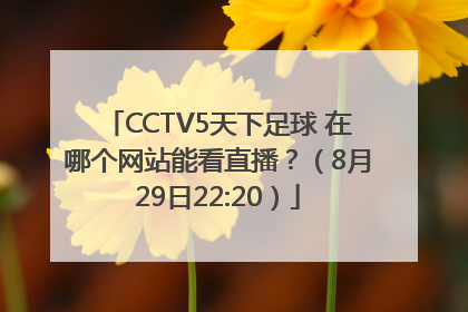 CCTV5天下足球 在哪个网站能看直播？（8月29日22:20）