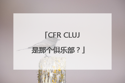 CFR CLUJ是那个俱乐部？