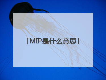 MIP是什么意思