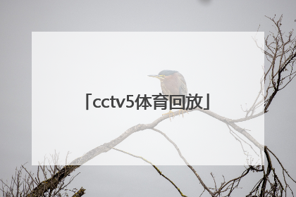 「cctv5体育回放」CCTV5回放