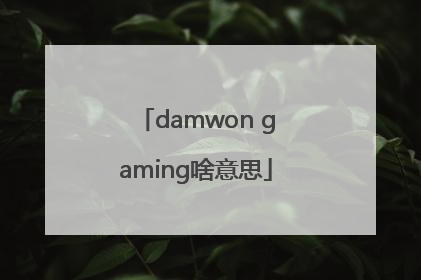 damwon gaming啥意思