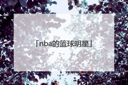 「nba的篮球明星」Nba台湾的篮球明星