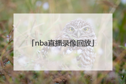 「nba直播录像回放」nba直播录像回放中文