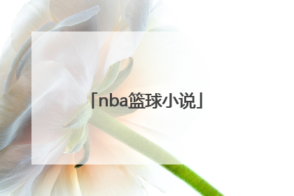「nba篮球小说」NBA篮球小说排行榜