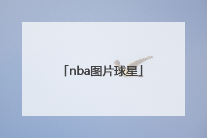 「nba图片球星」nba图片球星红蓝NBA标识