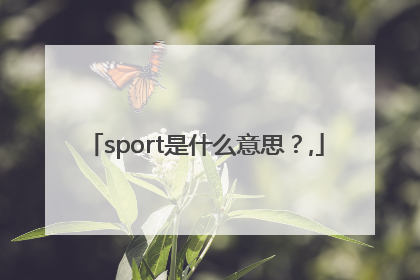 sport是什么意思？,